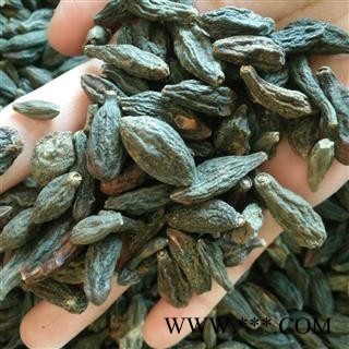 西青果 统 产地 广西壮族自治区梧州市长洲区图2