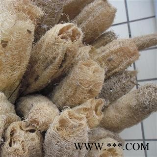 丝瓜络 丝瓜络统丝  地道药 产地 山东省图3
