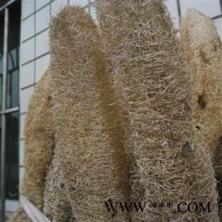 丝瓜络 丝瓜络统丝  地道药 产地 山东省图2