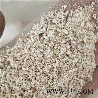 芡实 芡实米 产地 广东省图2