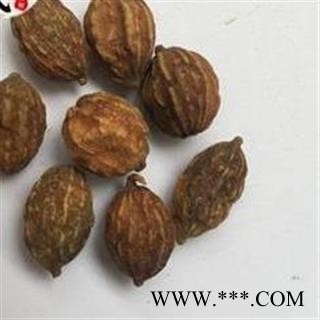 益智仁 益智选货 产地 海南省图2