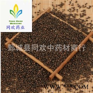 【黄荆子 牡荆子】规格齐全 量大从优  产地 山东省