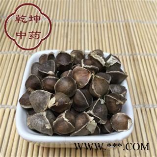 辣木籽 一级，正品 产地 海外【品种齐全 诚信经营】图2