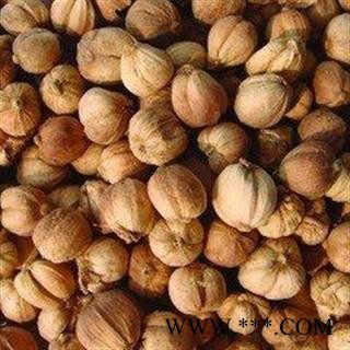 精品白豆蔻选货 质量好 价格低 产地直销   产地 广西壮族自治区图2