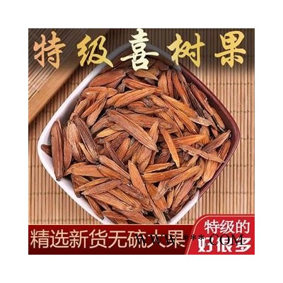 喜树果正品特级新货500g包邮千丈树水栗子天梓树中药材旗舰店