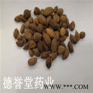 德誉堂药业 砂仁 统 砂仁 批发各种中药材