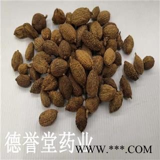 德誉堂药业 砂仁 统 砂仁 批发各种中药材图2