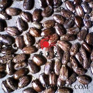 蓖麻子 萆麻子 蓖麻仁 大麻子  统 产地 内蒙古自治区图2