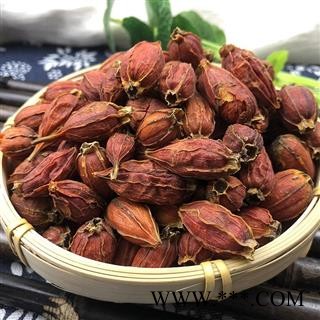 栀子 栀子选个  产地 福建省图2