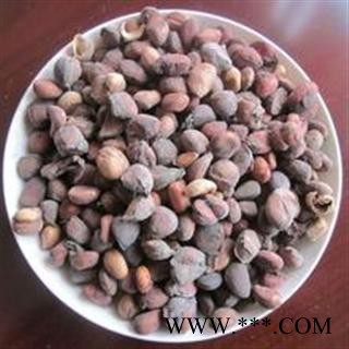 中药材 马槟榔,马金囊,水槟榔,紫槟榔,马大白,马牙槟 药用保含量 批发零售各种中药材 花茶 矿石