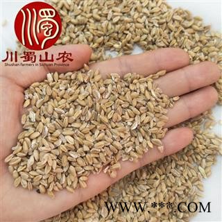 浮小麦无硫选货散装1公斤起批产地直供川蜀山农中药材批发图2