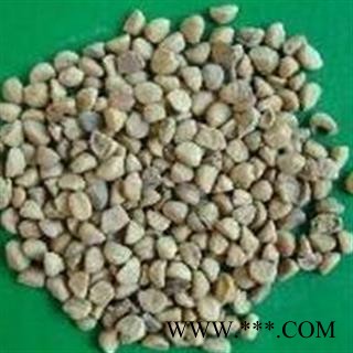 牵牛子 牵牛子白丑统货 产地 河南省图2