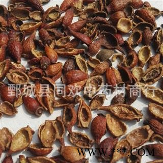 【金樱子肉】@【同欢药材】中药材批发供应  规格齐全 量大从优  产地 江西省图2