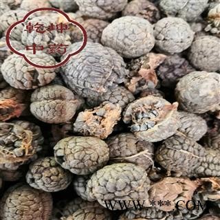 草豆蔻 选 产地 广西壮族自治区【品种齐全 诚信经营】图2
