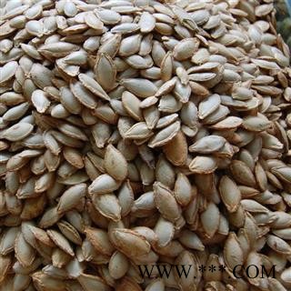 南瓜子 子粒饱满 选 产地 河北省图3