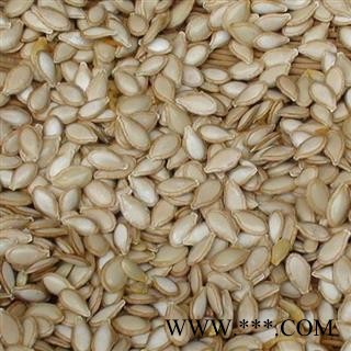 南瓜子 子粒饱满 选 产地 河北省图2