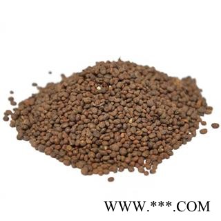 急性子 统 产地 安徽省黄山市休宁县图2