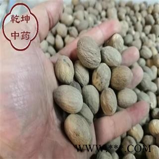 肉豆蔻 选装货 产地 广西壮族自治区【品种齐全 诚信经营】图2