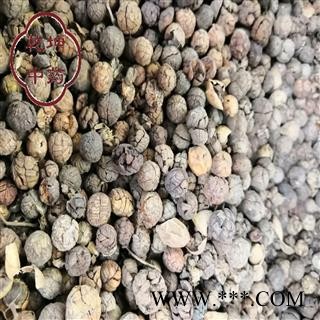 草豆蔻 统 产地 广西壮族自治区【品种齐全 诚信经营】图2