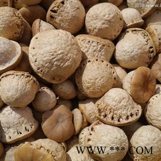 优质风流果大个 壮阳果 龟头子 质量好 价格低 产地直销 产地 广西壮族自治区图2