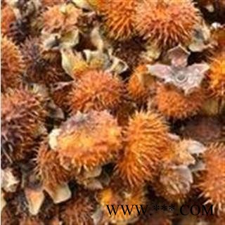 刺梨选货 新货质量好 价格低 产地直销 产地 四川省图2