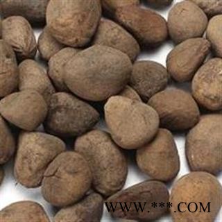 大枫子选货 质量好 价格低 产地直销  产地 广西壮族自治区图2