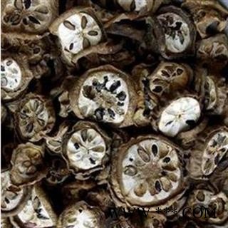 八月札选货 预知子 质量好价格低  产地 湖北省图2