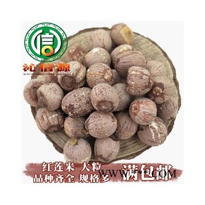 【满包邮】红莲米大粒统货散装湖南产地直供红莲子沁信源中药批发