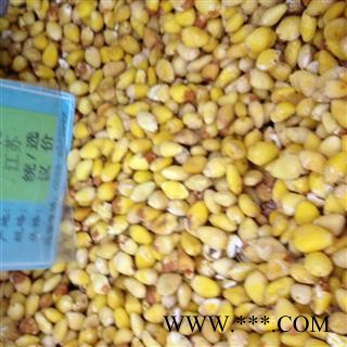 白果 白果仁 统 产地 安徽省安庆市郊区图2