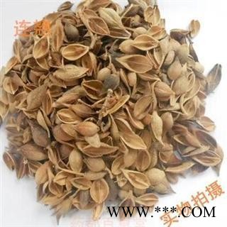 黄翘 选 批发连翘 青翘 批发中药材花茶 产地 山西省
