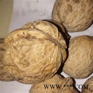 核桃 薄皮核桃 产地 河南省平顶山市汝州市带硬壳图3