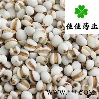 薏苡仁 选 小粒薏米仁 硫磺 食用级薏米 供应各种中药材 产地 贵州省图2