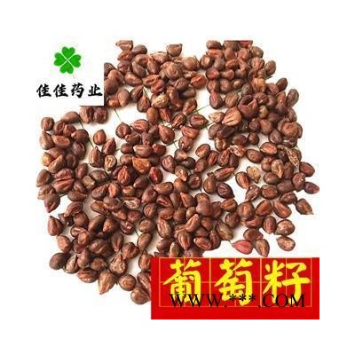 葡萄籽 净货 葡萄子 产地直销 磨粉 五谷杂粮 必备 批发各类中药材 产地 新疆维吾尔自治区