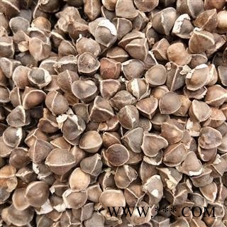 精品进口辣木籽选货 质量好 价格低  产地 海外图2