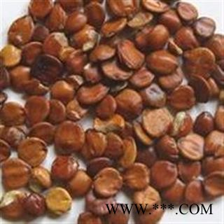 枣仁 正品炒枣仁统 产地 海外图2