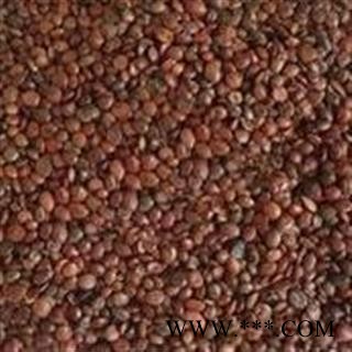 枣仁 正品炒枣仁统 产地 海外图4