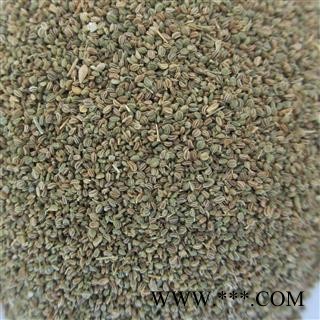 芹菜籽 芹菜子 统货 产地 江苏省图2