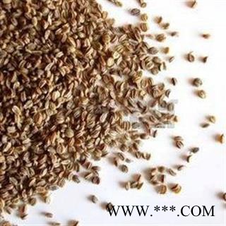 芹菜籽 芹菜子 统货 产地 江苏省图3