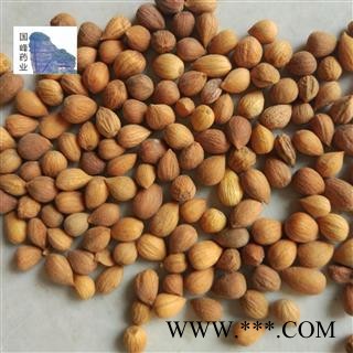 郁李仁 郁李仁选货 颜色好 全干 无虫蛀 国峰药业 重在品质 山梅子 小李仁 郁子 郁里仁 李仁肉  产地 山西省图2