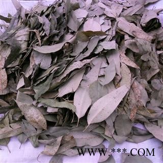 桉树叶 青统货 产地 四川省成都市双流县图4