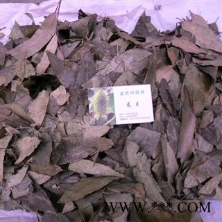 桉树叶 青统货 产地 四川省成都市双流县图2