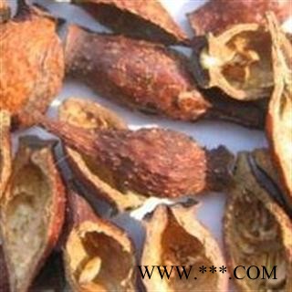 【录建药业】金樱子 金樱子肉 产地 江西省图3