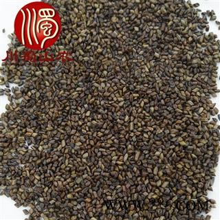 决明子无硫选货散装1公斤起批产地直供草决明川蜀山农中药材批发图4