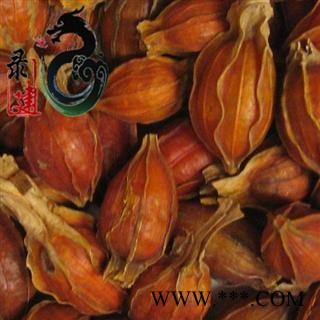 【录建药业】小栀子 江西小栀子 产地 江西省图2