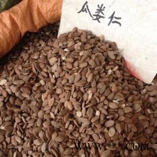 【录建药业】瓜蒌仁 单边瓜蒌籽 产地 山东省图4