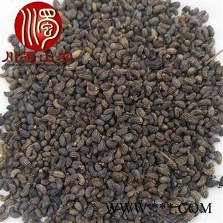 女贞子腰果形状选货散装1公斤起批产地直供冬青子川蜀山农中药材批发图4