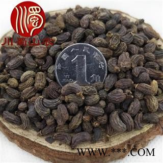 女贞子腰果形状选货散装1公斤起批产地直供冬青子川蜀山农中药材批发图3