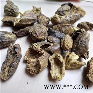 诃子 诃子肉 产地 云南省图2