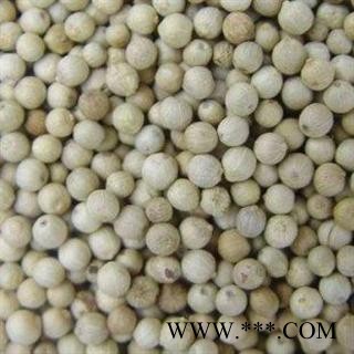 【录建药业】白胡椒 白胡椒 产地 广西壮族自治区图2