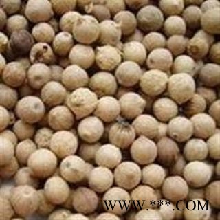 【录建药业】白胡椒 白胡椒 产地 广西壮族自治区图3